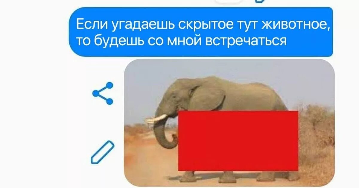 Я буду говорить а ты угадывать. Если угадаешь животное. Если угадаешь животное станешь моей. Угадай животное. Угадайте что за животное.