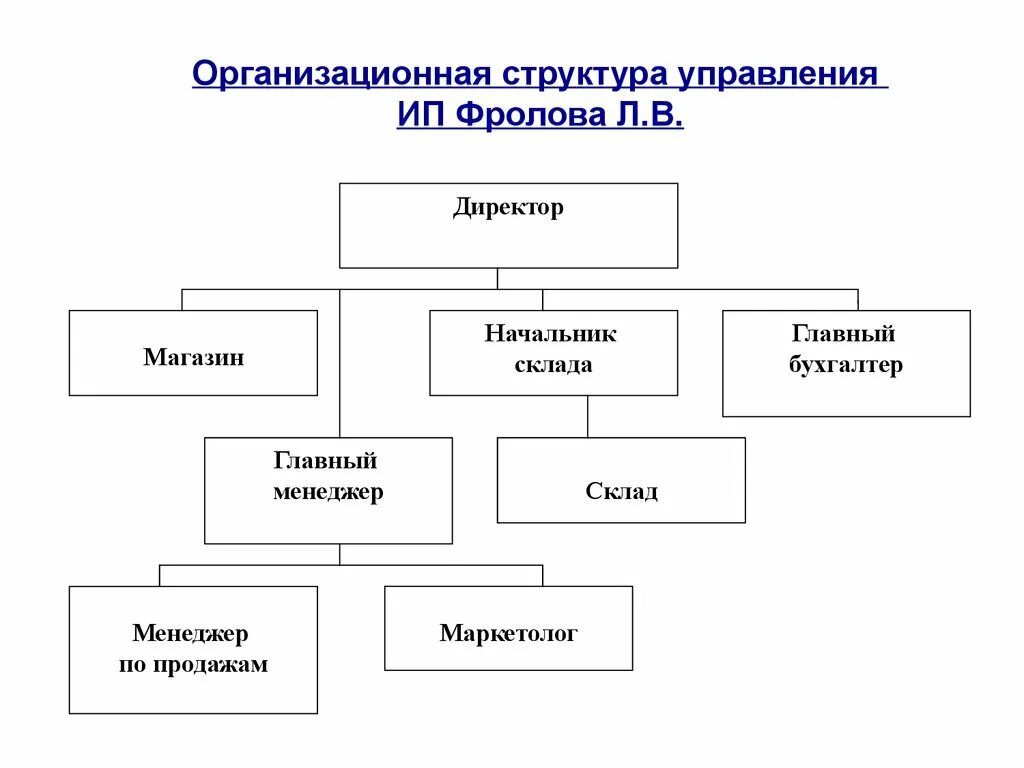 Организационная структура предприятия схема ИП. Схема организационной структуры управления предприятием ИП. Структура организации схема пример ИП. Организационная структура предприятия ИП магазин.