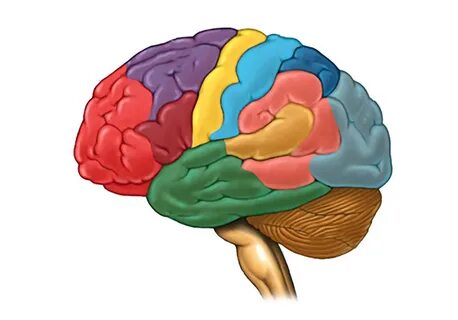 Үйлену тойының алдында қалыңдықты қатты былғап алған