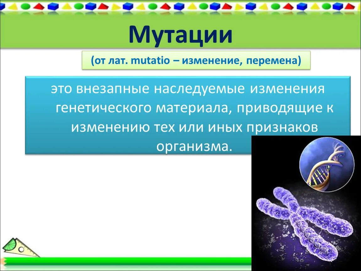 Изменения генной мутации. Мутация это изменение в наследственных. мутация это внезапное изменение. изменения признака мутации.