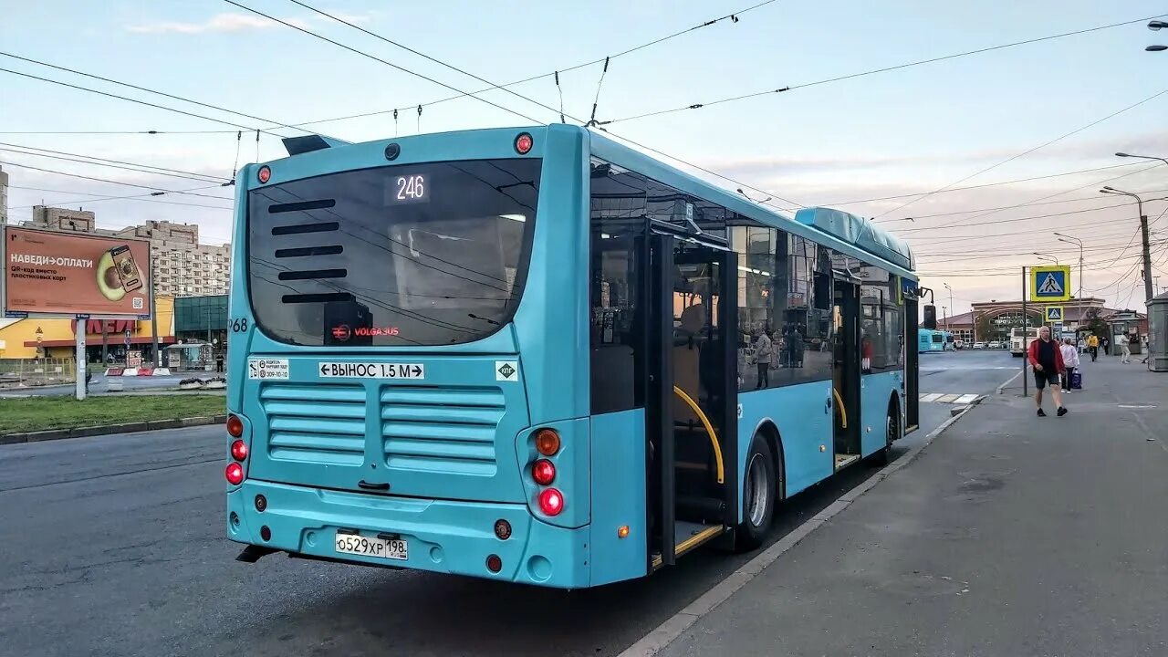 Автобус 446 хвойный. Автобус б. Волгабус автобусы. VOLGABUS автобус Волжанин.