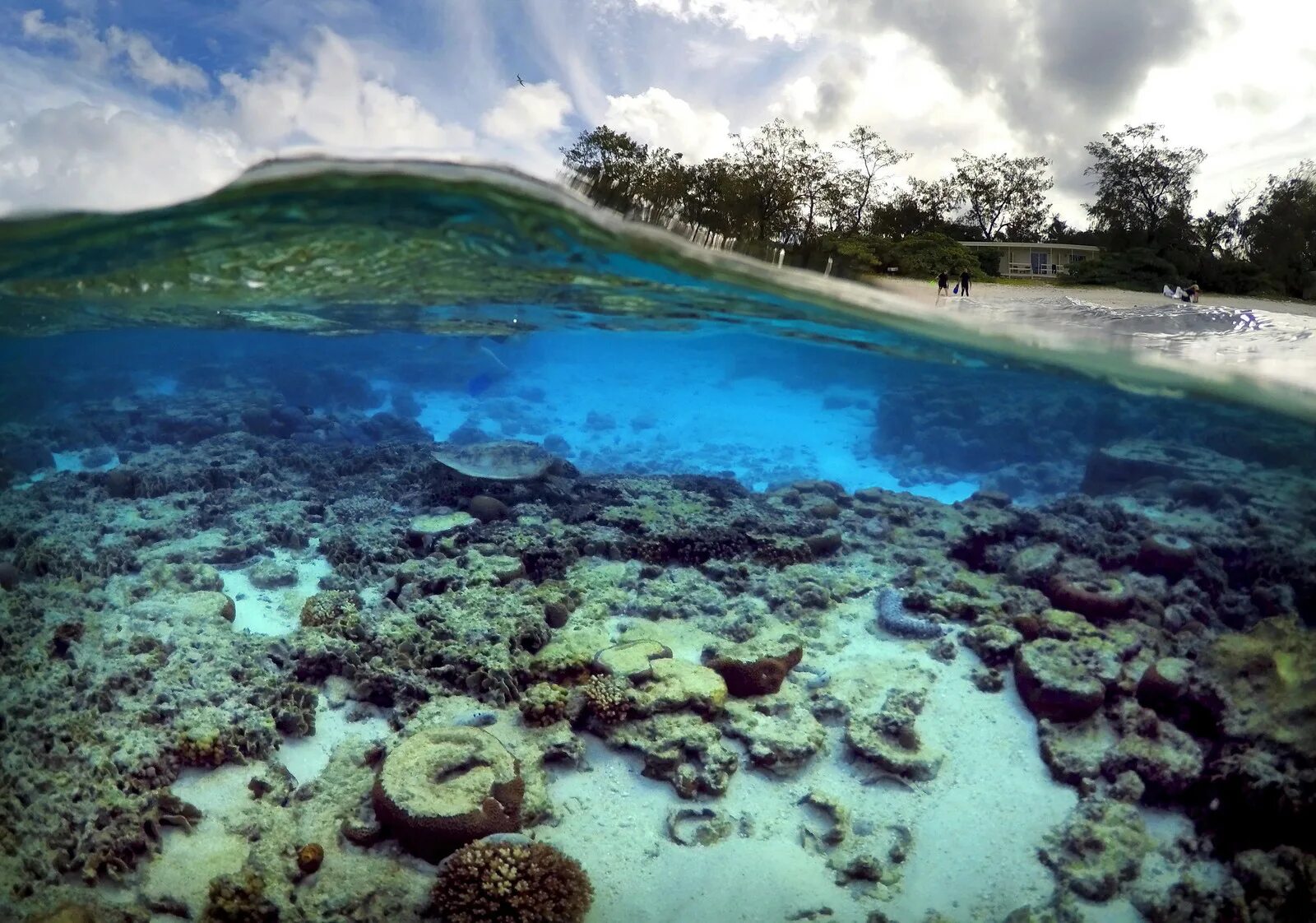 Большой Барьерный риф. Австралия great Barrier Reef. Большой Барьерный риф (ББР), Австралия. Большой Водораздельный риф в Австралии. Острова барьерного рифа