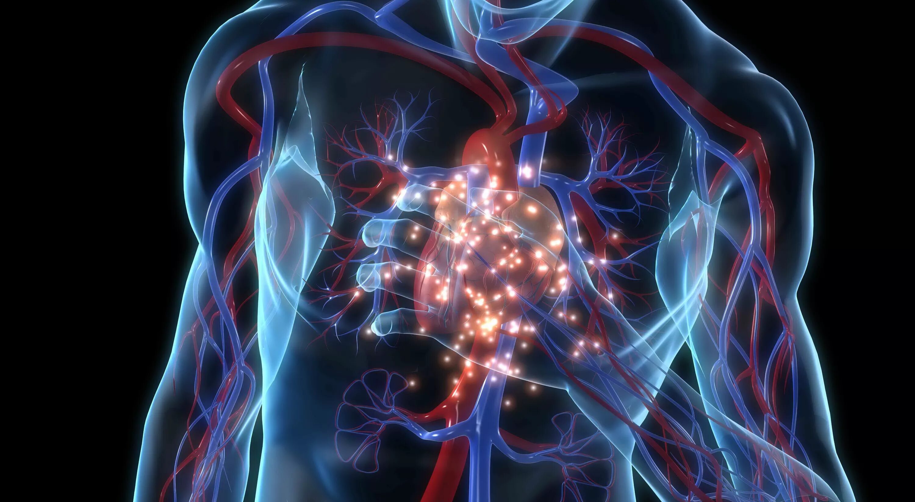 Схема отделов кровообращения. Нарушение функции кровеносных сосудов. Участие лимфатических капилляров в системе микроциркуляции. Нарушение функции кровеносных сосудов. Нарушение функции кровеносных сосудов.