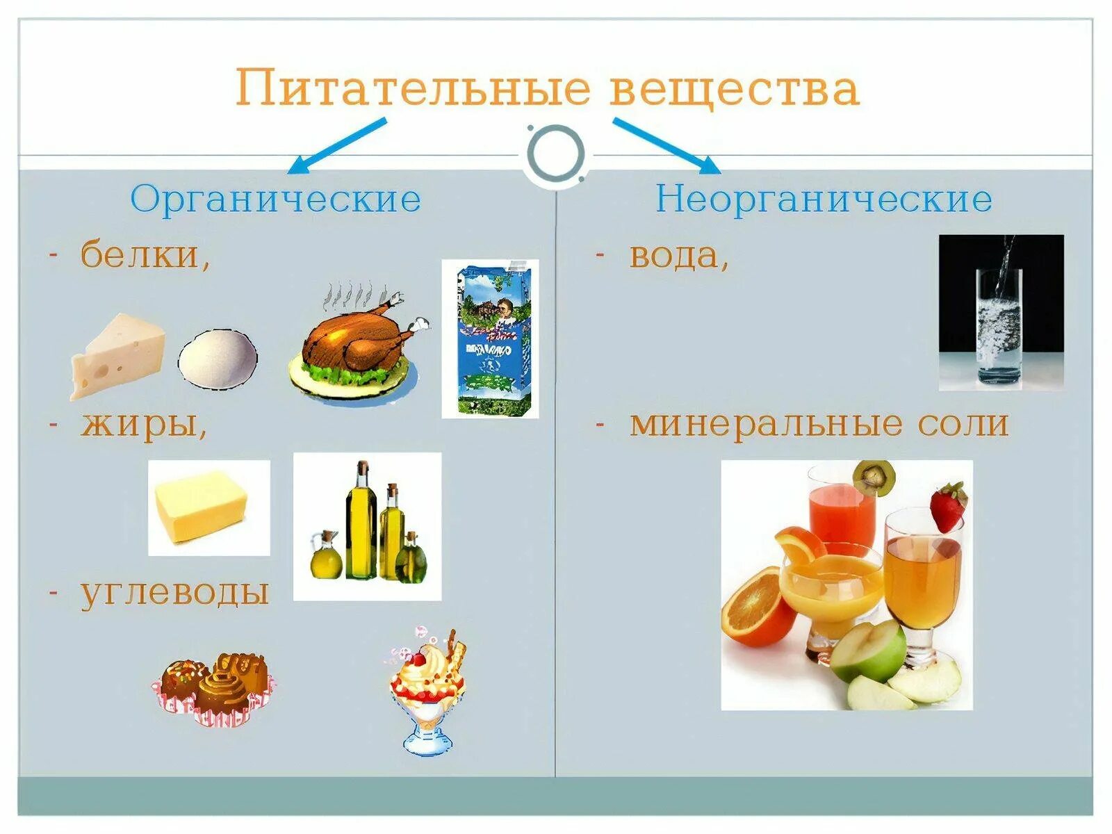 Пищевые вещества продуктов питания. Питательные вещества белки жиры углеводы. Питательные вещества белки жиры углеводы схема. Питательные вещества органические и неорганические. Питательные вещества в продуктах питания.