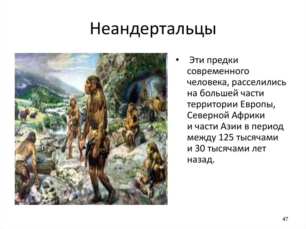 Предки современного человека. Неандерталец предки человека. Кто предок современного человека. Названия предков человека. Прямой предок человека