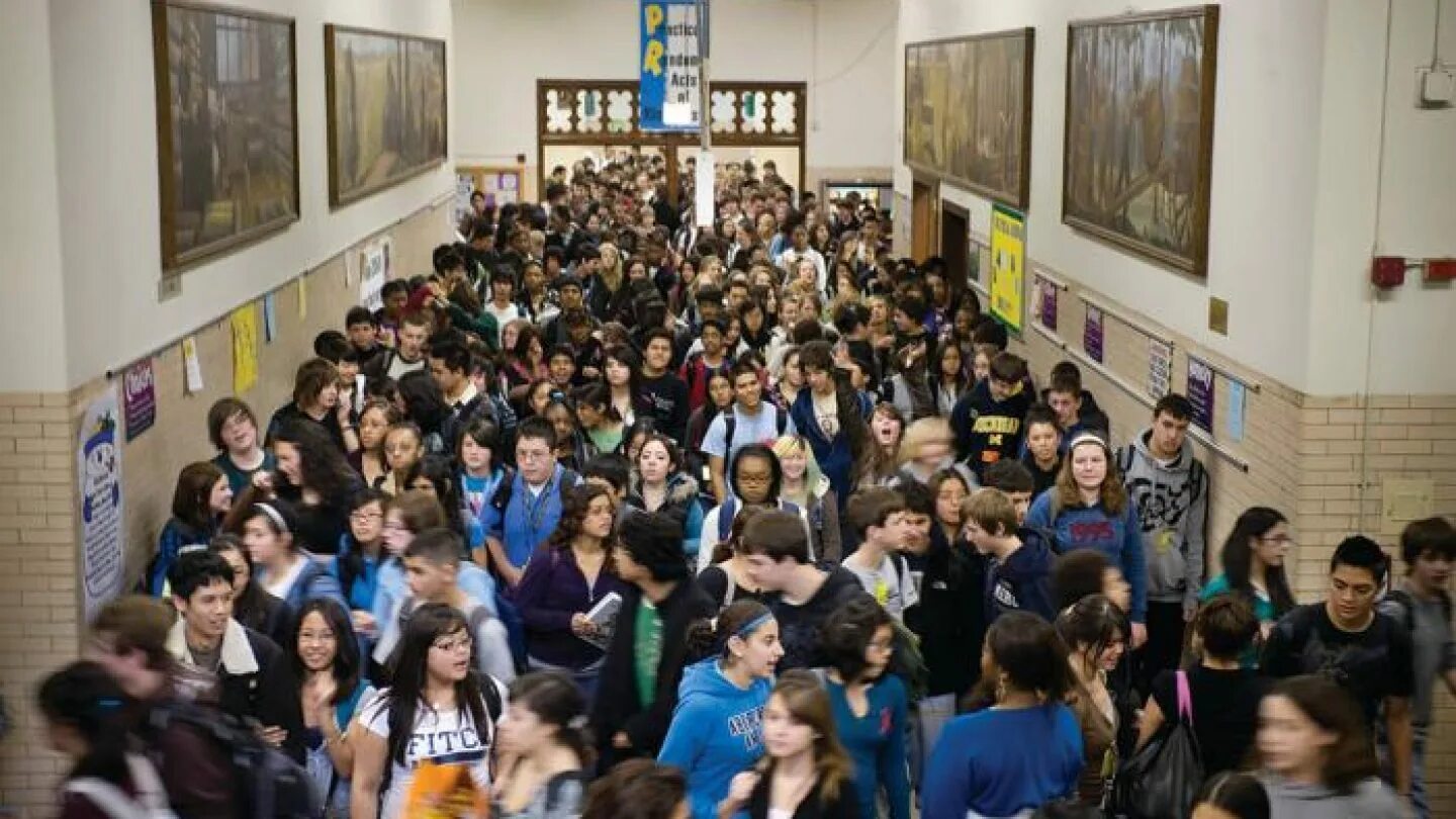 Много людей в школе. Толпа в школьном коридоре. Толпа людей в школе. Толпа людей в школьном коридоре. Сколько человек в 1 школе