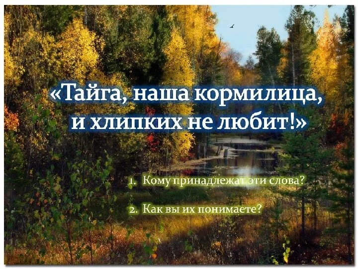 Сочинение тайга наша кормилица. Тайга наша кормилица хлипких. тайга наша кормилица хлипких не любит. тайга наша кормилица. тайга наша кормилица хлипких не любит 5 класс.
