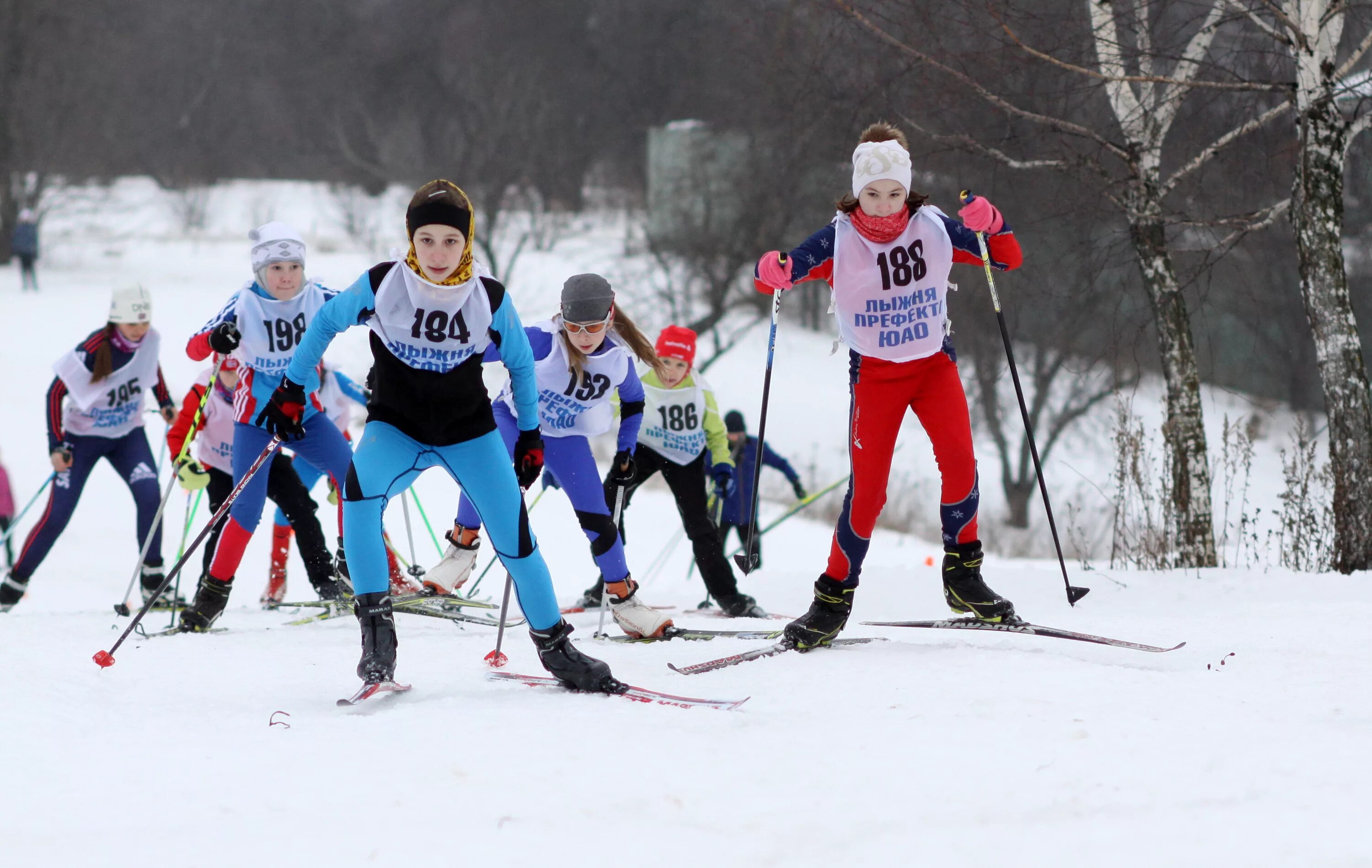 Лыжный спорт дети. Лыжные гонки. Лыжи соревнования. Лыжные гонки дети.