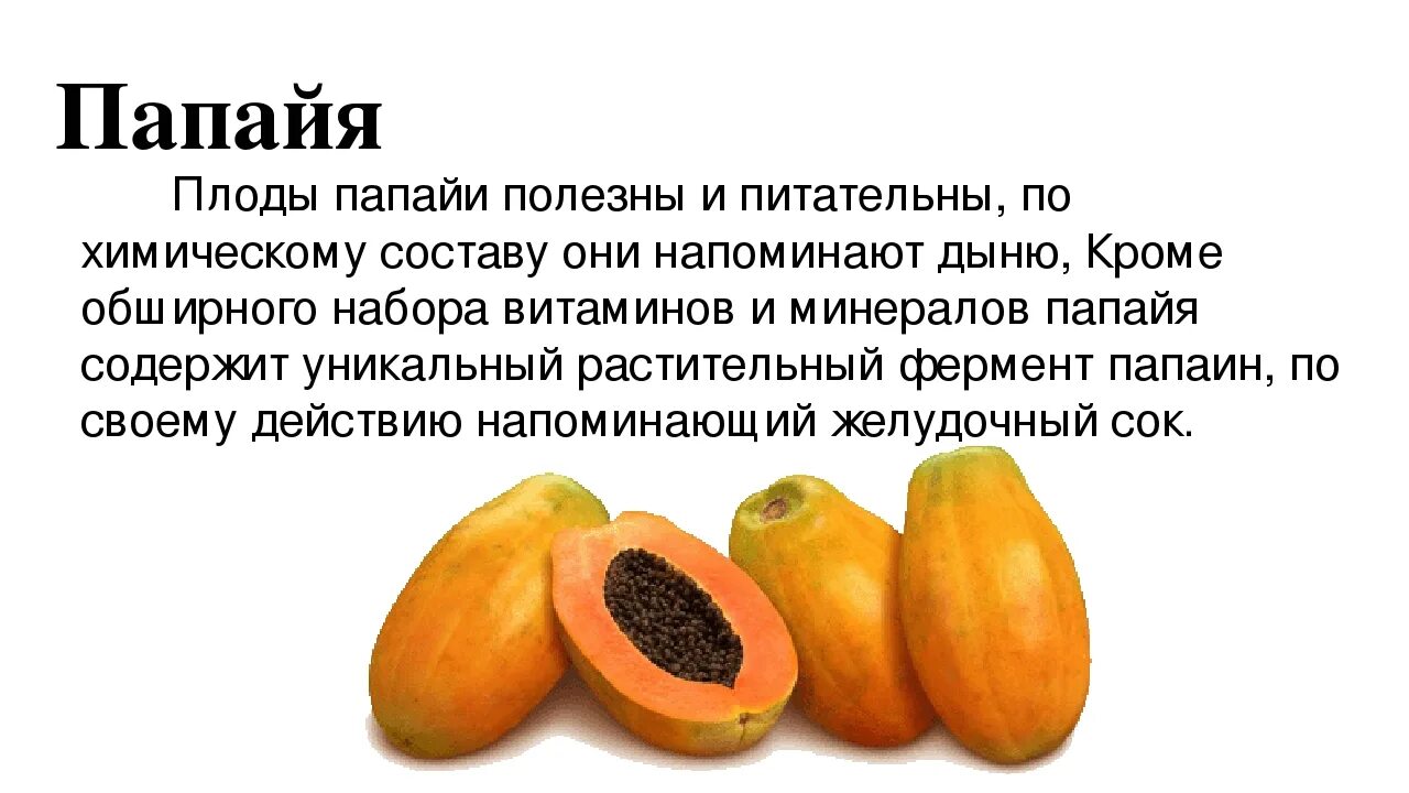 Манго полезные свойства и противопоказания для женщин. Папайя описание фрукта. Чем полезна папайя. Сообщение папайя фрукт. Папайя интересные факты.