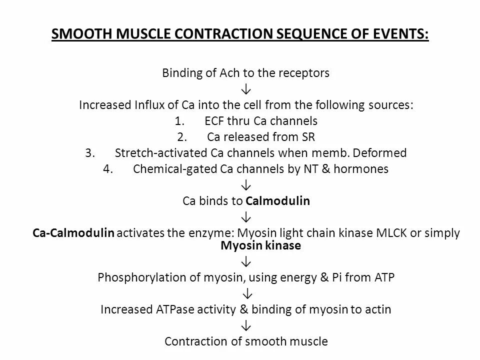 Sequence of events правило. Smooth muscle contraction. sequence of events презентация. sequence of events 7 класс. sequence of events 7 класс правило.