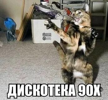 Кошка джага джага