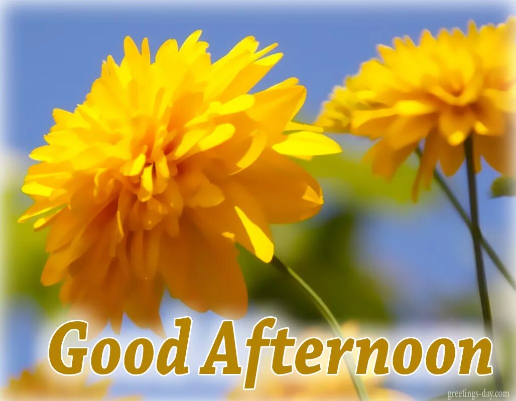 Good afternoon. Good afternoon картинки. Открытка good afternoon. Гуд Монинг Гуд афтенун. Слово afternoon