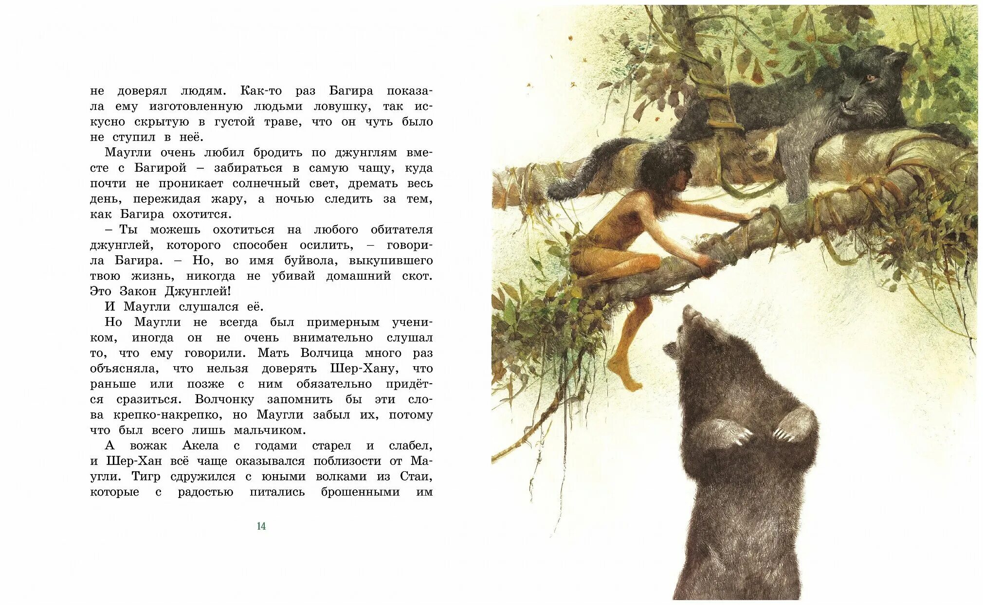 Законы джунглей 3 класс. Диафильм книга джунглей. Шон кэрролл книги. Закон джунглей. План по сказке маугли.