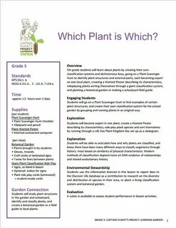 Lesson plan 5 grade