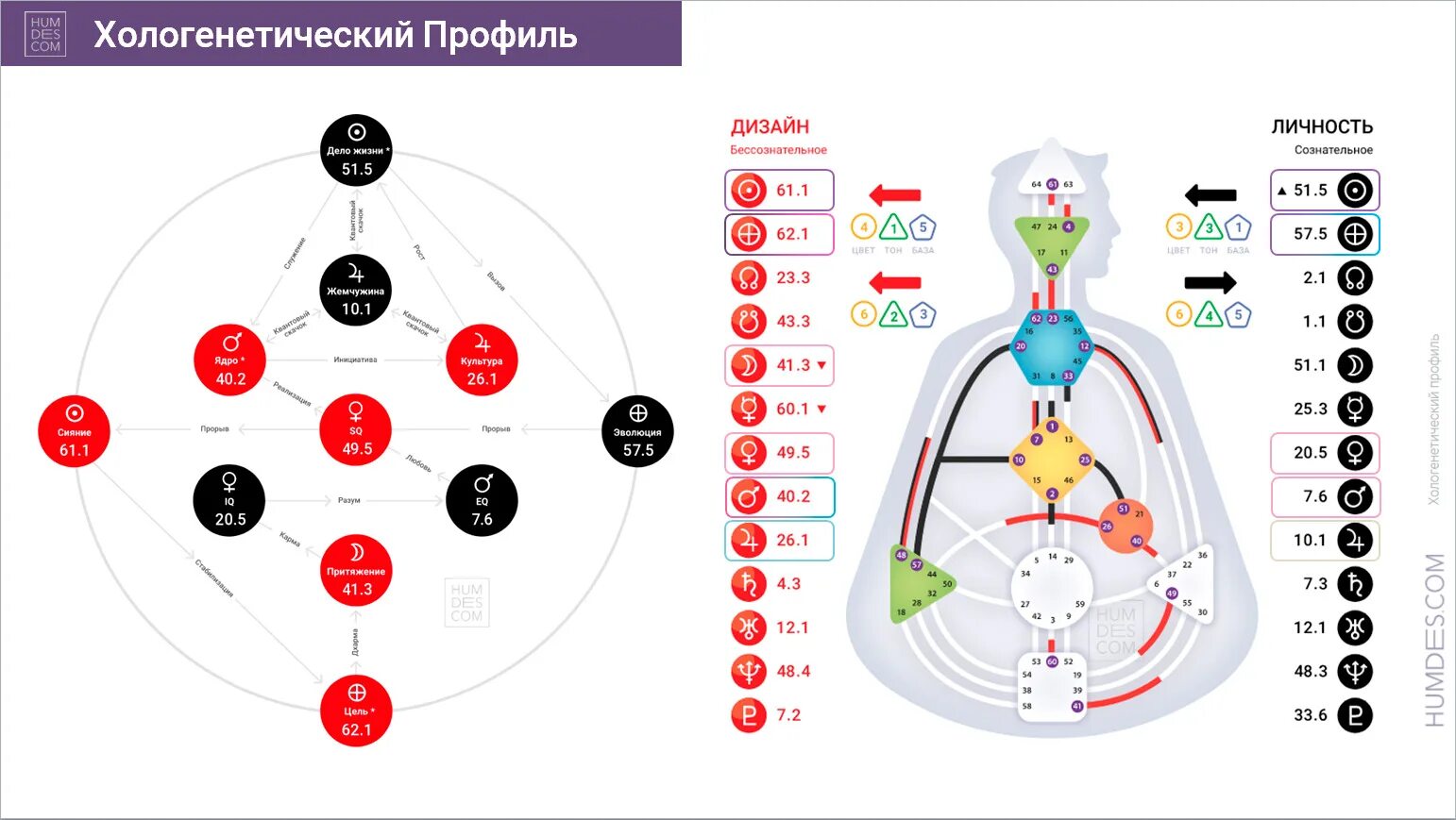 Хологенетический профиль и генные ключи. Золотой путь генные ключи. Ходогегетический профиль. Генные ключи в дизайне человека. Генные ключи расшифровка