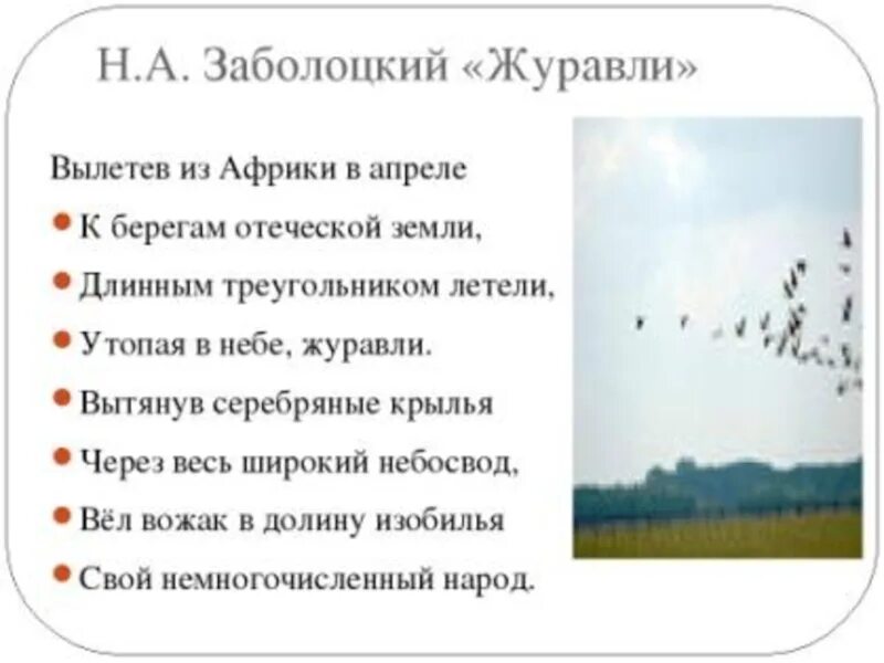 Анализ стихотворения журавли 5 класс. Журавли стих н.Заболоцкий. Стихотворение Журавли Заболоцкого.