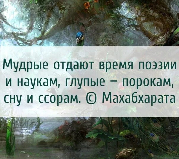 Мудрые отдают время поэзии и наукам, глупые порокам, сну и ссорам.. Природа лучший лекарь. Цитата природа лучший лекарь для души. Природа исцеление души цитаты. Он много времени отдавал музыке литературе