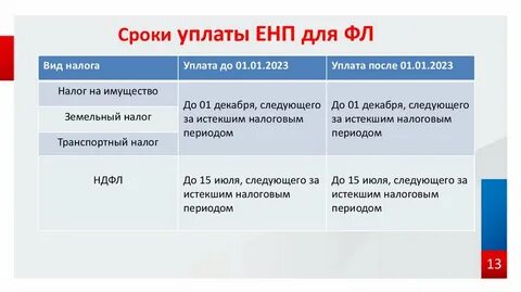 Сроки уплаты торгового сбора в 2024
