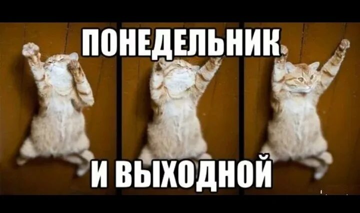 Понедельник рисунок. Понедельник выходной праздник. Изображение : понедельник выходной день. Понедельник не рабояий день. Когда понедельник выходной картинки.
