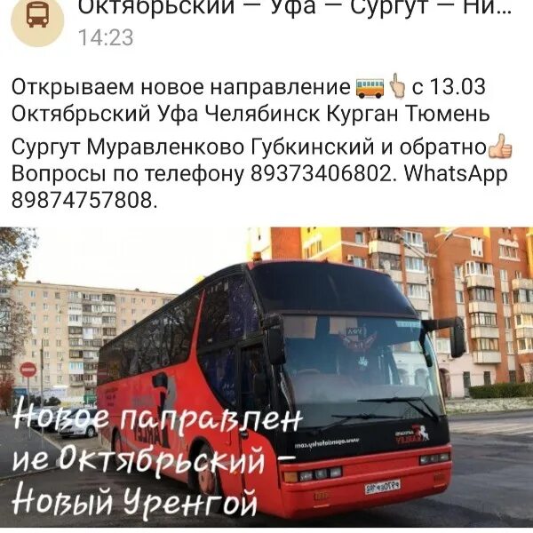 Сургут Уфа автобус. Автобус с Сургута до Уфы. Пассажирские перевозки Сургут Уфа. Общественный транспорт Сургут.