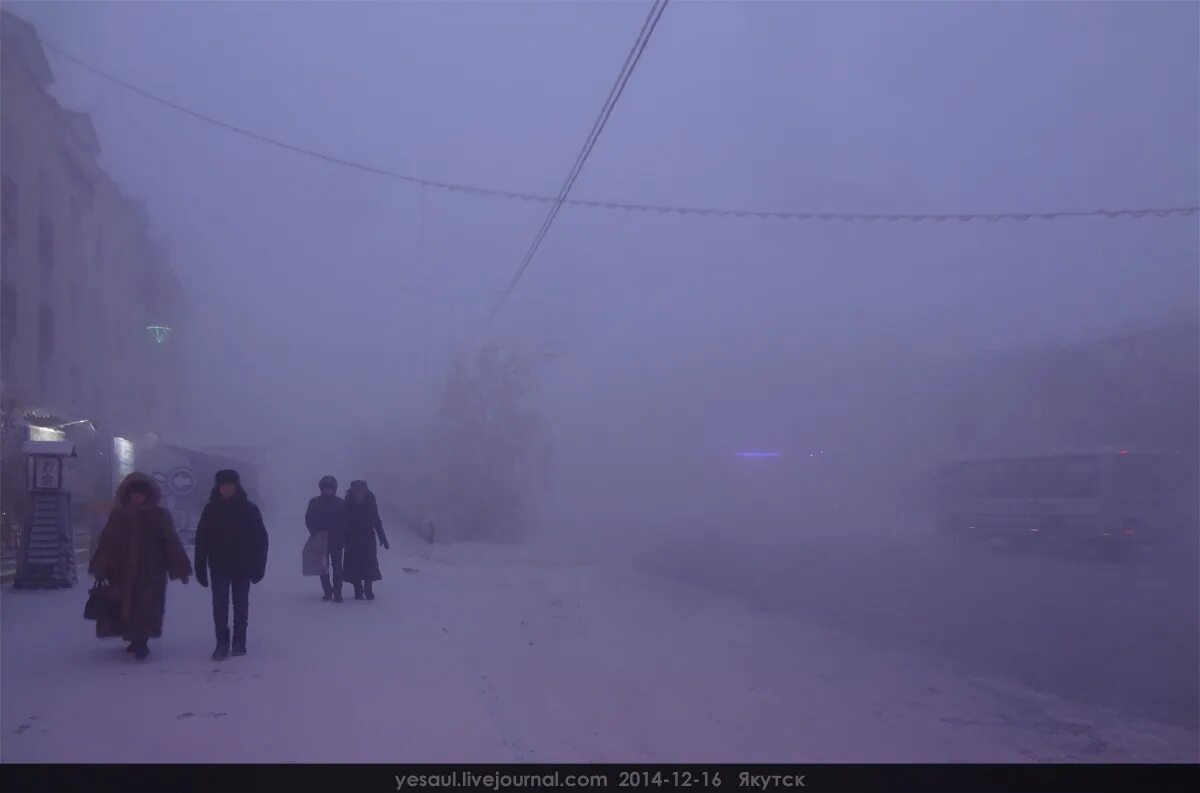 Туман зимой в городе. Якутск туман -50. туман в якутске. якутск зимой туман. якутск зима туман.