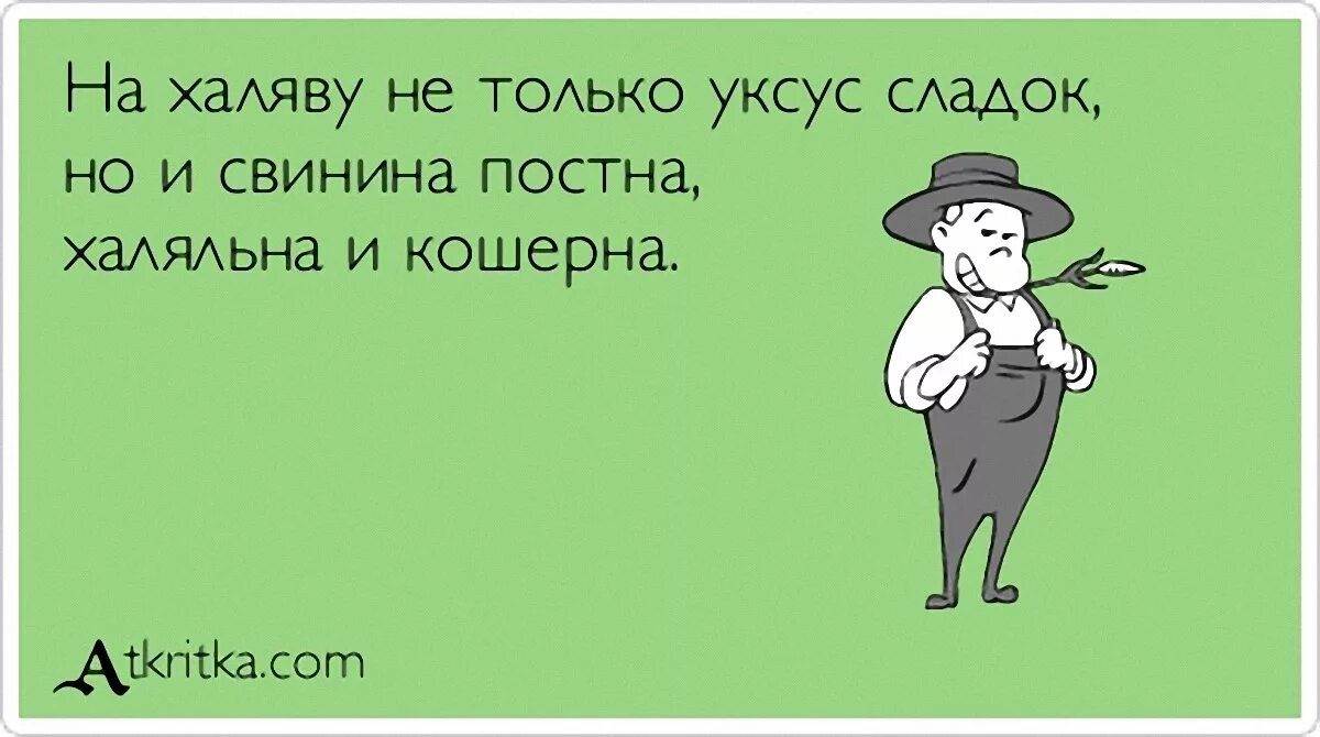 Халяву любит. Шутки про халяву. Смешное высказывание про халяву. Цитаты про халяву. Цитаты о халявщиках.