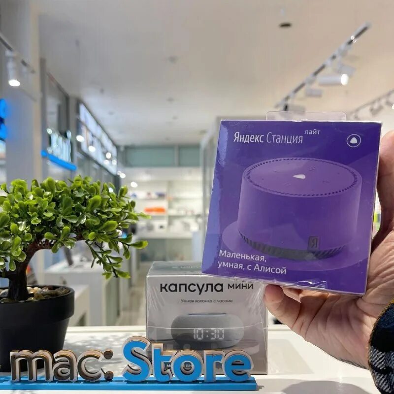 яндекс станция мини лайт. яндекс станция подписка. яндекс станция алиса лайт. устройство яндекс станции мини. умная колонка яндекс yndx-00025g лайт мятная.