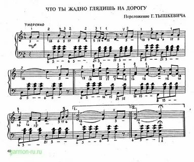 Текст песни на баяне