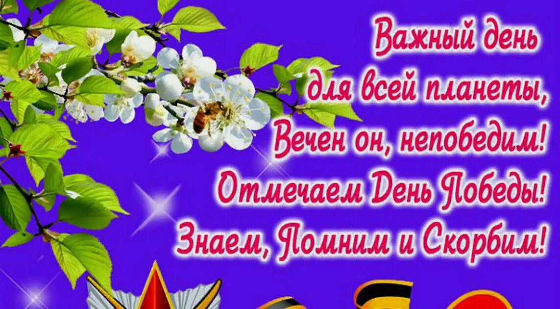 Чем важен день победы 9 мая. Чем важен день победы 9 мая. Чем важен день победы 9 мая. С днем победы поздравления. Чем важен день победы 9 мая.