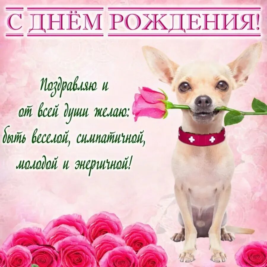 Какое нибудь хорошее поздравление. С днём рождения девушке. поздравления с днём рождения девкшке. поздравления с днём рождения девушке. поздравление с днём рождения жевушке.