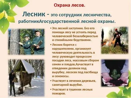Историю про лесника