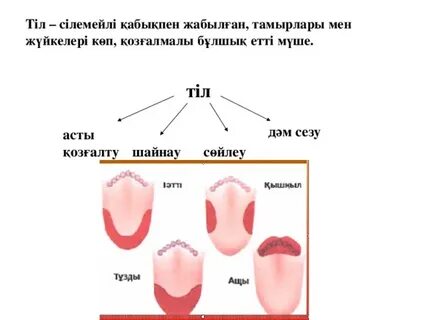 Күйеуі мен әйелі анальды жыныстық қатынасқа түседі