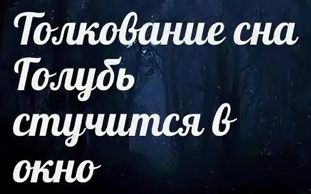 К чему снится голубь во сне мужчине