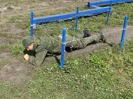 Запись в лагерь 2024 пенза
