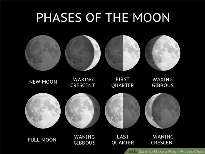 Moon correct moon. Фазы Луны phases of the Moon. Новолуние и полнолуние. Полнолуние астрономия. Фазы Луны картинки.