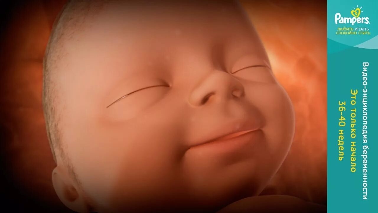 38 неделя беременности ребенок в утробе матери. внутриутробное расположение ребенка. расположение ребенка на 40 неделе беременности. 40 недель беременности фото ребенка. 36 40 неделя беременности.