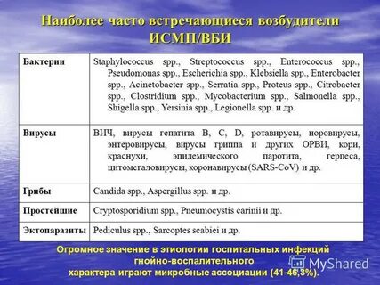 Первыми встречаются с бактериальной инфекцией