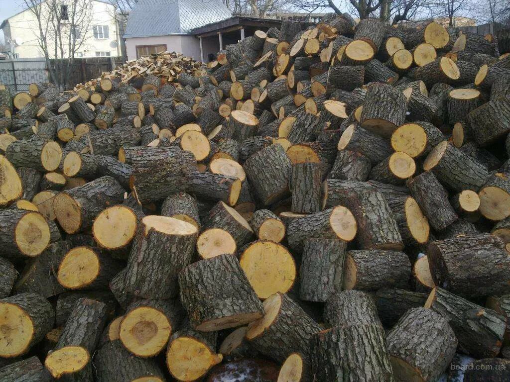 Дрова макеевка. Дрова дуб. Тополь на дрова неколотые. Дрова лиственные. Обрезь древесины.