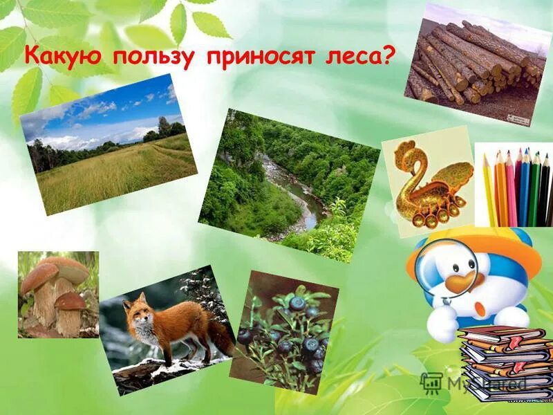 Какую пользу приносит природа человеку. Какую пользу приносит лес. какую пользу приносит лес людям. какую пользу приносят леса. польза леса для человека для детей.