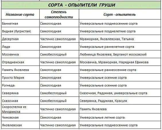 Сорта опылители яблонь таблица. Сорта опылители черешни таблица. Груши опылители по сортам таблица. Жимолость опылители таблица сорта.