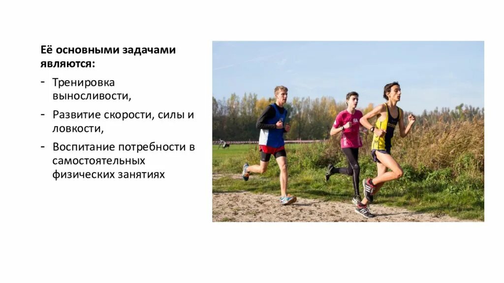 Бег по пересеченной местности задача информатика. Кроссовая подготовка. кроссовая подготовка в школе. что такое кроссовая подготовка физкультура. бег кроссовая подготовка.