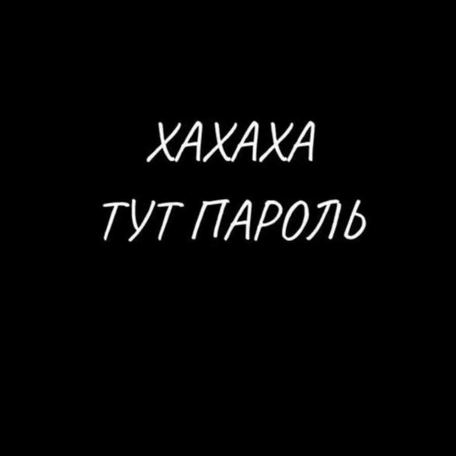 Снять ха. Лев в машине. Львенок в машине. Снять ха. Обои а тут пароль.