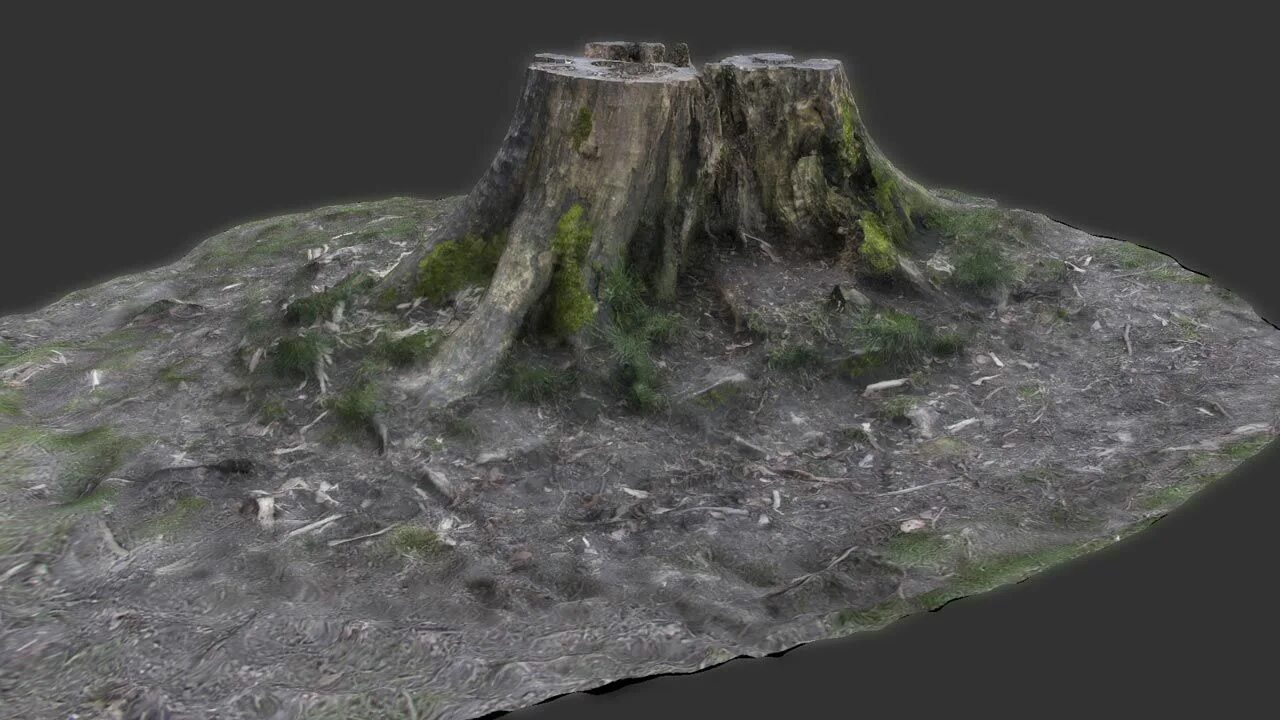 Scanned 3d model