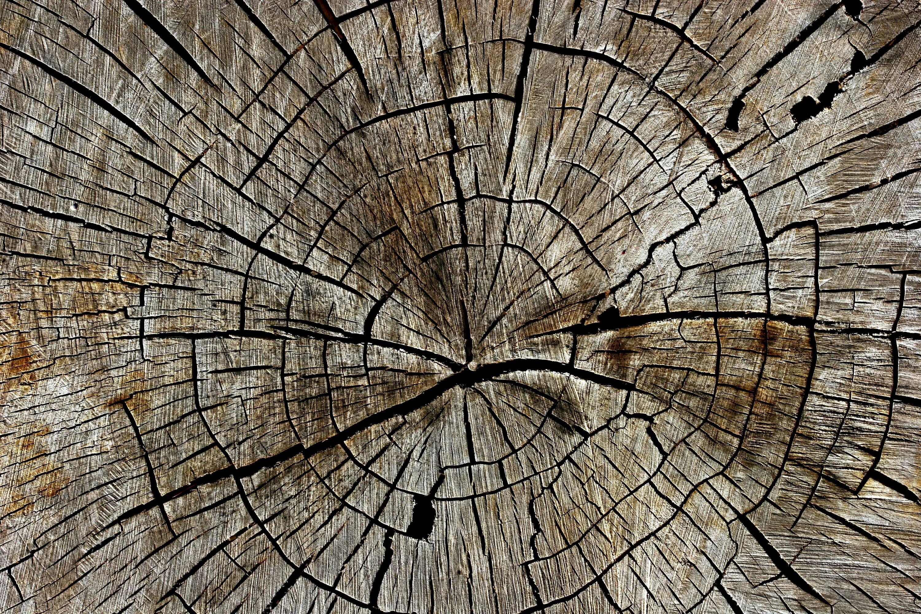 Multi texture