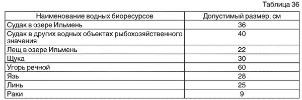 Размеры рыб на озере. Размеры рыб разрешенных в Новгородской области. Размер рыбы для вылова в Новгородской области. Размер рыбы разрешенной к вылову в Новгородской области. Размеры рыб для вылова в озере Ильмень.