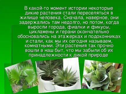 Растения и их история