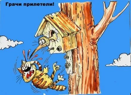 Грачи прилетели и охренели