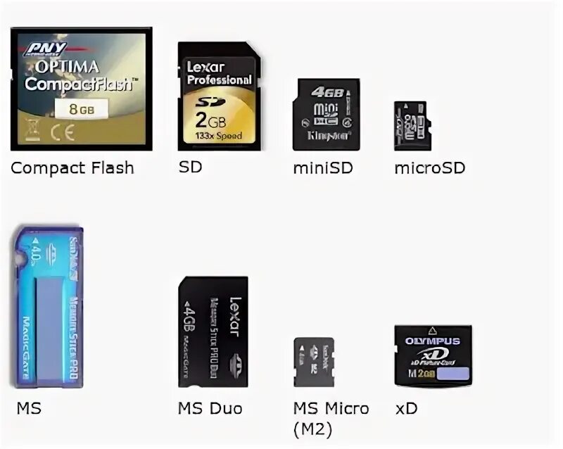 Управление картой памяти. Sd minisd microsd. minisd microsd отличия. sd и microsd отличия. размеры карты памяти microsd.