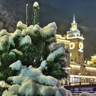 Новый год в поляне сочи