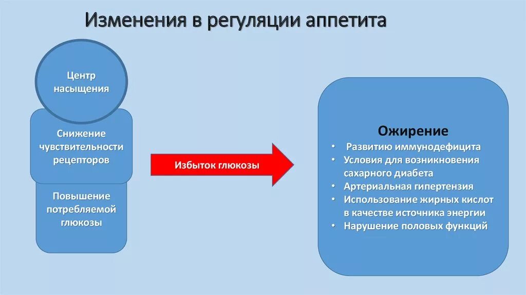 Механизмы регуляции аппетита. Физиологические механизмы аппетита. Физиологические механизмы регуляции голода и насыщения. Механизм возникновения аппетита.